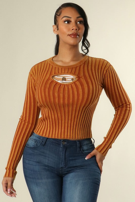 Insignia plate sweater