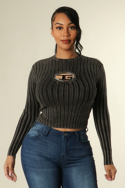 Insignia plate sweater