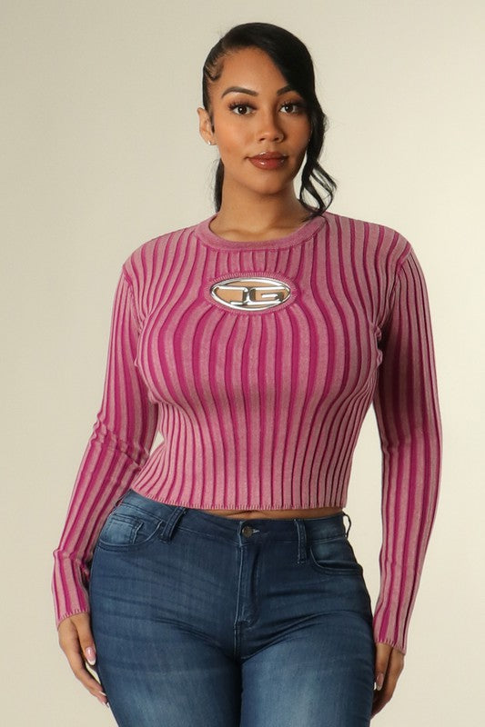 Insignia plate sweater