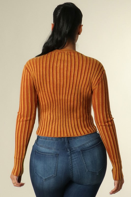 Insignia plate sweater